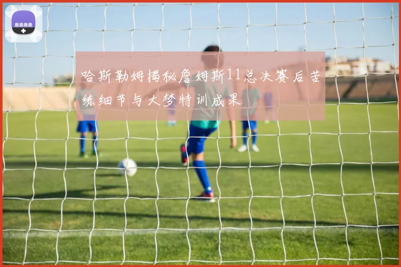 哈斯勒姆揭秘詹姆斯11总决赛后苦练细节与大梦特训成果